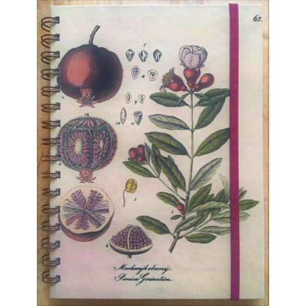 Foto - Zápisník atlas - Granátové jablko