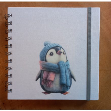 Foto - Památníček - Pingu