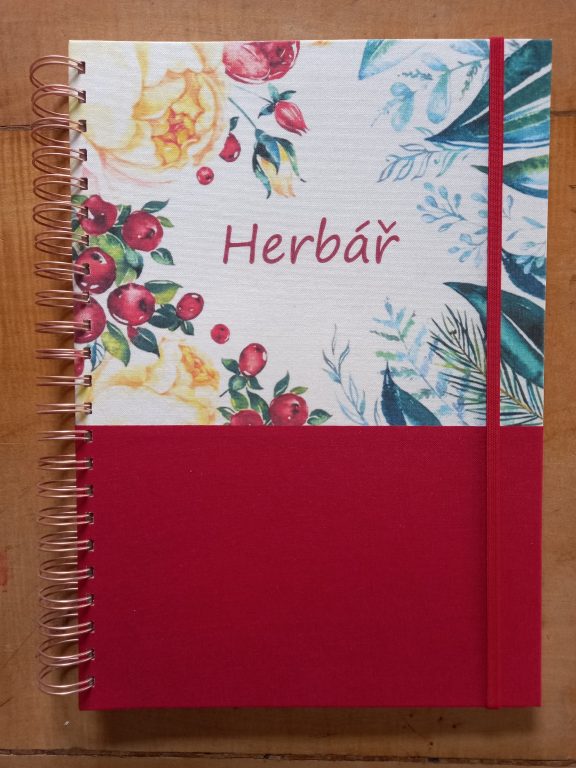 Herbář - Brusinka