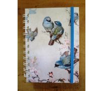 Zápisník -  Modří ptáčkové