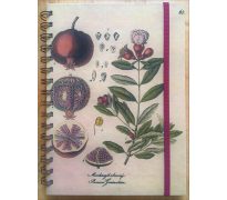 Zápisník atlas - Granátové jablko