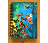 Autorský zápisník - Motýlí rej