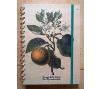 Zápisník atlas - Citron